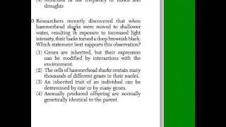 Question 30 Gene Expression Interaction with environment