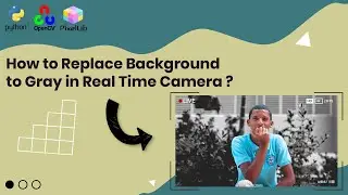 how to change background in real time | replace background to gray using Pixellib Python and OpenCV