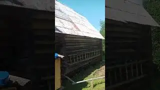 дача 2022 (3)