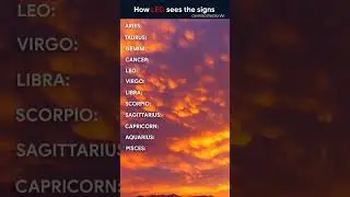 How LEO sees the signs♌