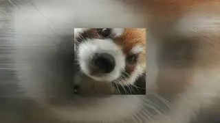 what you waiting for nightcore