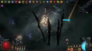 Div card farming w/ cocDD - 3.24 SSF Necropolis league