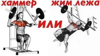 Жим лежа. Хаммер. Что лучше для проработки груди?