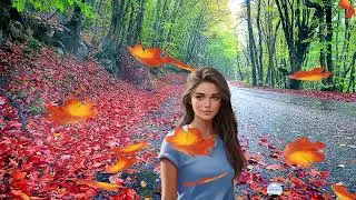 Листья жёлтые медленно падают