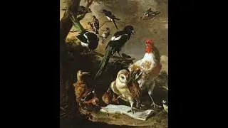 Antonio Vivaldi, Concerto in D major RV 226