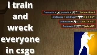 I train and wreck everyone in CSGO
