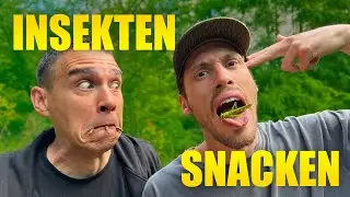 Insekten essen mit SurvivalMattin