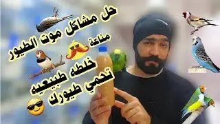سبب موت الطيور في هذه الفترة من السنه العلاج وبعض النصائح
