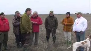 372. (26) Английский Пойнтер Даллас Фалькнерс