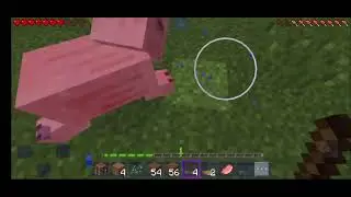 minecraft played by muhammad