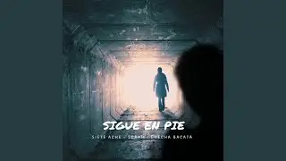 Sigue en Pie