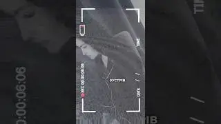 Ну, скажи, хіба не фантастично…Василь Симоненко #поезія #вірші #віршіукраїнською #сучаснапоезія