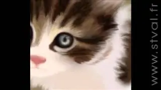 Little Cat   Digital Painting   Stephanie VALENTIN
