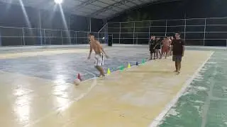 TREINO DA ESCOLINHA