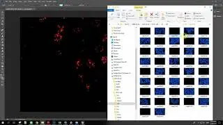 How to merge the images using photoshop 