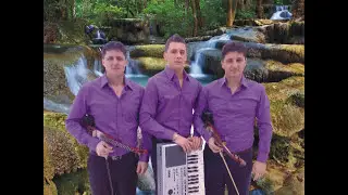 Đerze - Curica je poranila | 2011