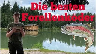 Welche Köder zum Forellenangeln? | Angeln auf Hochtour