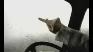 KT Tunstall-Under the Weather