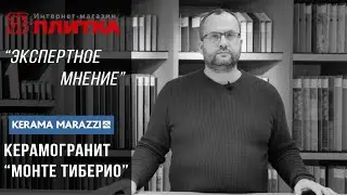 ЭКСПЕРТНОЕ МНЕНИЕ. 