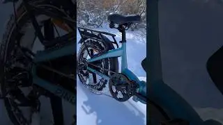 Rattan Pinus riding in snow. 