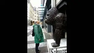 Вот так встреча) Привет Кельн, привет малыш)