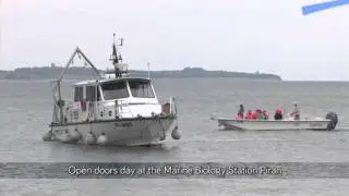 OCEAN LITERACY VIDEO