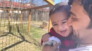 Difference between male and female peacock?! Baby reaction after seeing Peacock for the first time