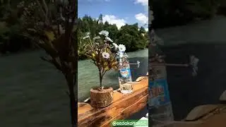 MUNZUR'A KARŞI#dersim62#tunceli#dersim#shortsvideo#shortvideo#shorts#short#manzara#munzur#reels#fyp