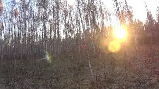 Один в лесу.
