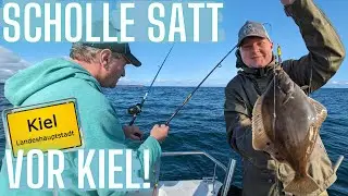 Angeln auf Scholle in Kiel - Viele Rotgetupfte und Dickdorsch als Bonus