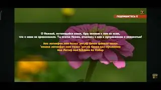 Красивое чтение для успокоения дуа