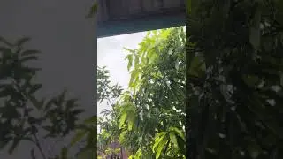 Amazing Raining sound, best for relaxing, Raining sound as music, sound for meditation, #rainsound2