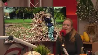Rust: hoe een iemand met ADHD rust vindt
