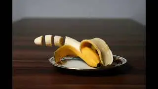 Форма и размер мужского полового члена, длинный, толстый, тонкий, короткий, маленький, большой член