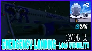 Emergency landing with low visbility ends with Among us