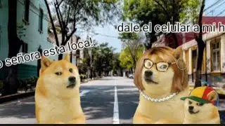 Niño con derecho intento quitarme mi celular y no sufrio consecuencias.#doge #dog #humoe #risas