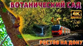 БОТАНИЧЕСКИЙ САД