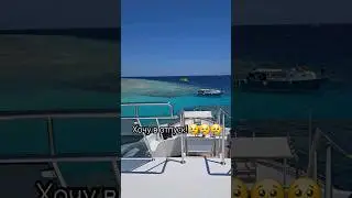 30 июня 2024 г.