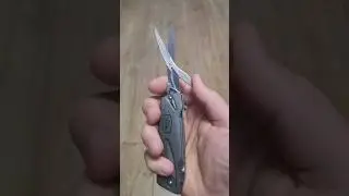 Buck 735