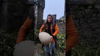 Giant Dinosaur Egg Found in Haunted Castle Wales #dinosaur #shorts #egg #wales #ghosts #dinoegg