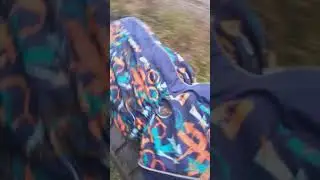 Собака по колёсам попрыгака #shorts