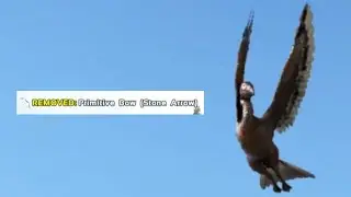 dumb bird steals my bow - ARK