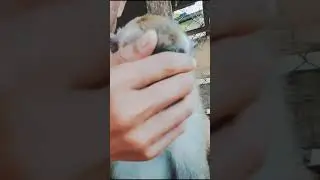 senyum dulu gaes 