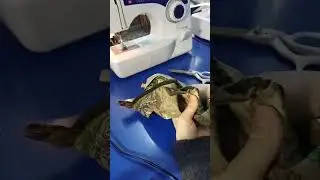Определённо узко.. было.. 
