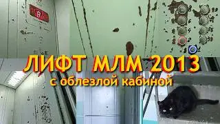 (Стал ещё хуже) Лифт МЛМ 2013 по адресу: Революционная 8 "А"