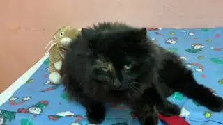 video 07 03 22