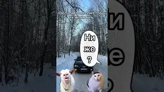 Каждый раз одно и тоже 😂