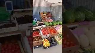 Летняя прогулка. Эфир из перископа. 