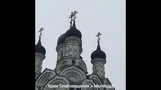 Вороны и коты облюбовали храм 