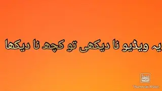 15 May 2020